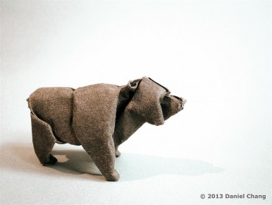 Brown Bear
