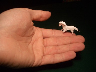 tiny horse