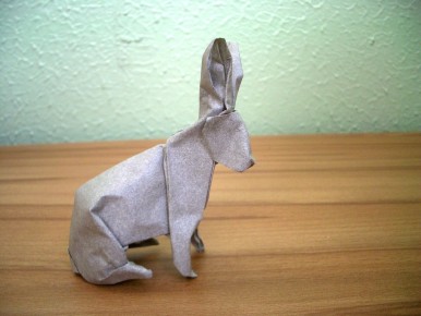 Rabbit