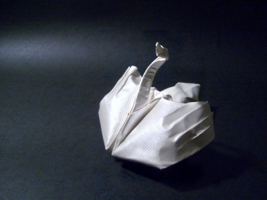 Swan
