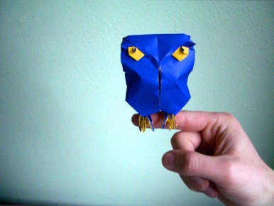 A Curious Owl