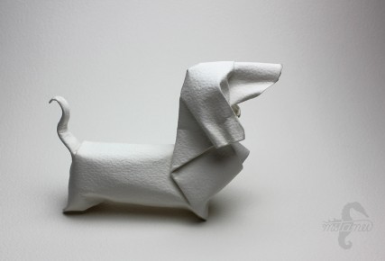 Dachshund