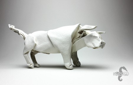 Bull