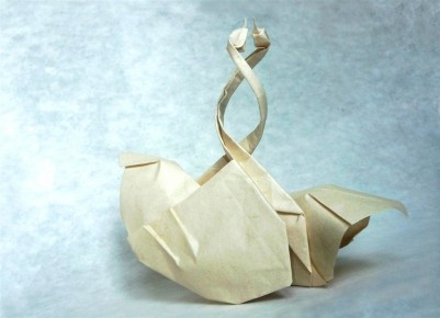 Entangled Swans