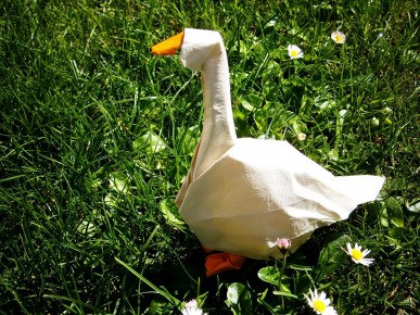 Goose